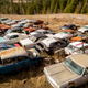 Illustration for article titled This Secret 340-Car Collection In Canada Is Up For Grabs